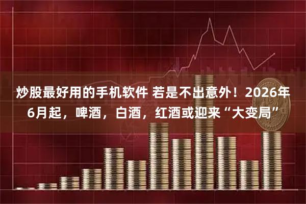 炒股最好用的手机软件 若是不出意外！2026年6月起，啤酒，白酒，红酒或迎来“大变局”